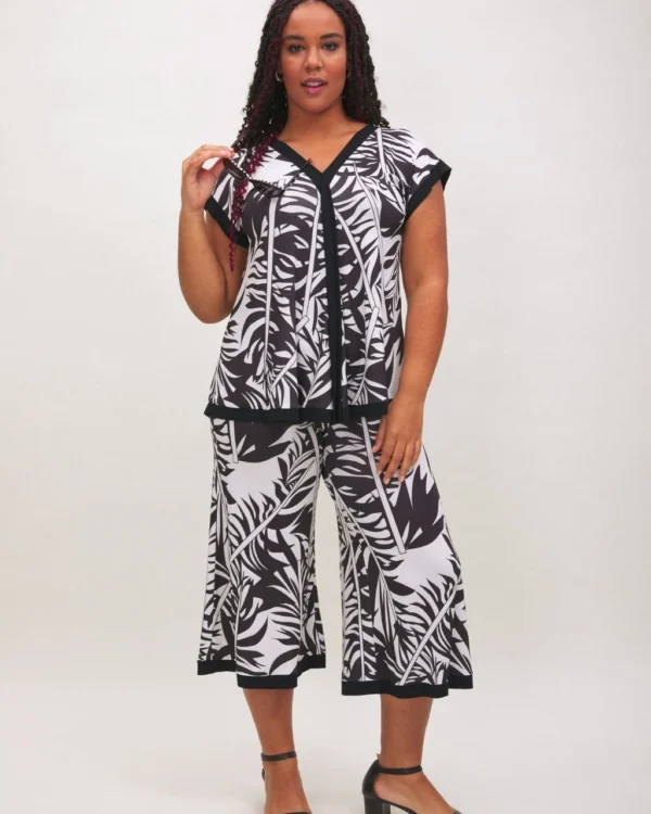 Conjunto Selva Negra